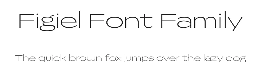 Figiel Font Family by LaΓ―c: Type Foundry β Sans Serif Font