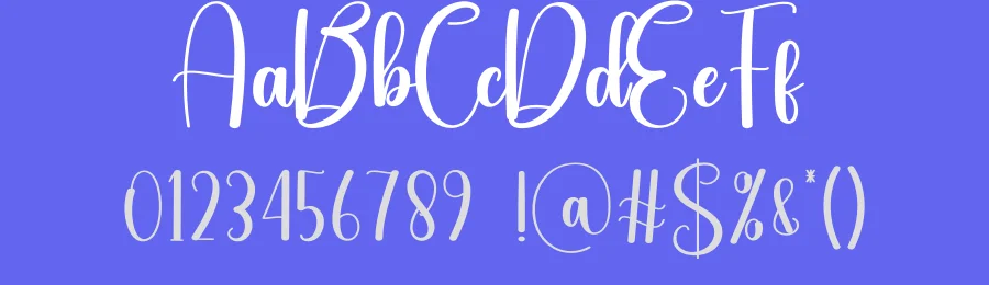 Figure Script Font by andikastudio — Script Handwritten Font — thumbnail 3