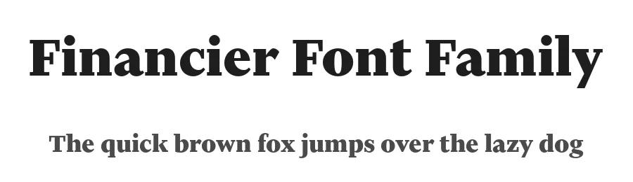 Financier Font Family by Klim Type Foundry — Serif Font