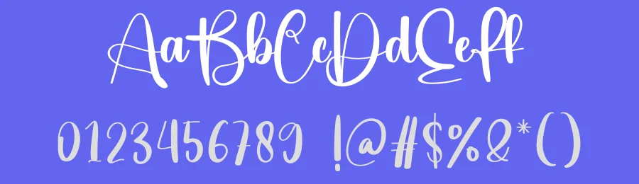 Fine Script Font by creativeletter — Script Handwritten Font — thumbnail 3