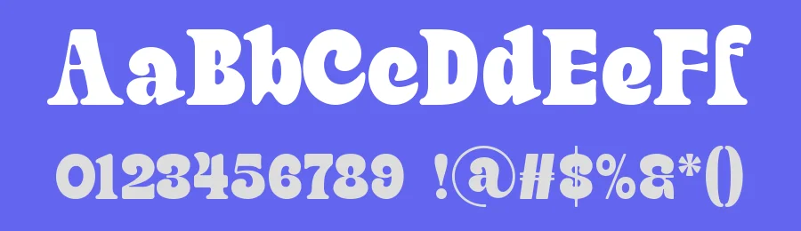 Finer – Classic Bold Serif Typeface by Maiko Hatta — Decorative Font — thumbnail 3