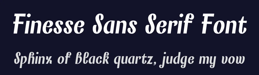 Finesse Sans Serif Font by Behalf Studio — Sans Serif Font — thumbnail 2