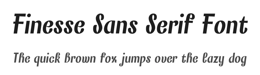 Finesse Sans Serif Font by Behalf Studio โ Sans Serif Font