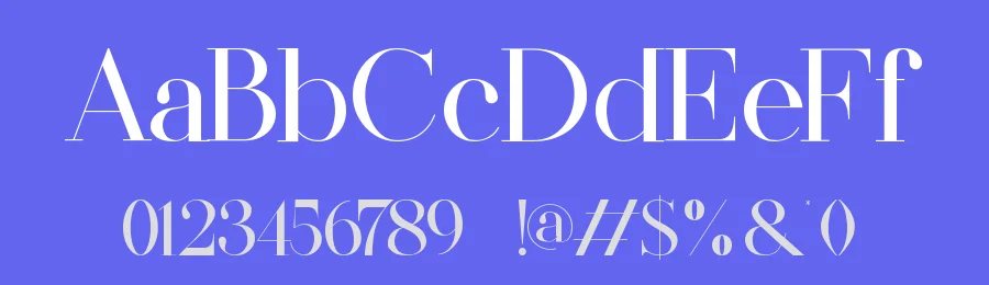 Firthe || Modern Classy Serif Font by ErmediaStudio — Display Font — thumbnail 3