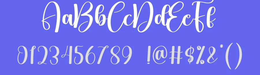 Fishing Christmas – Luxury Handwritten Script Font by creativeletter — Script Handwritten Font — thumbnail 3