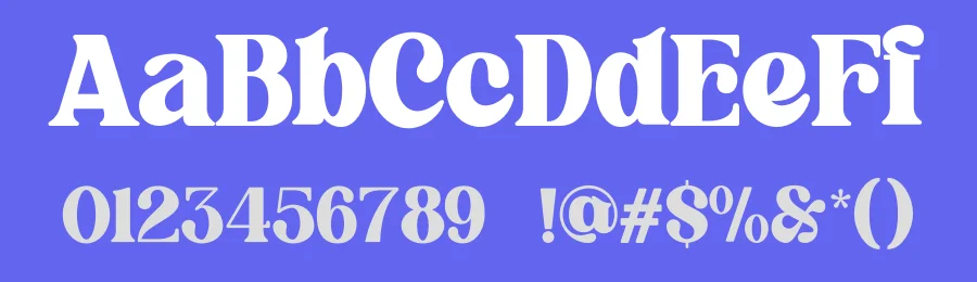 Flagfies Font by Dhabee — Serif Font — thumbnail 3