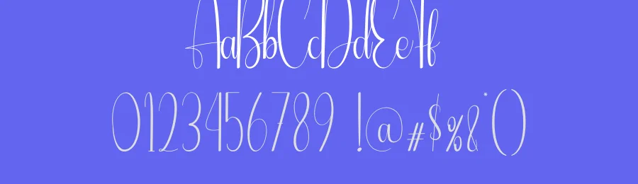 Flamboyant Script Font by andikastudio — Script Handwritten Font — thumbnail 3