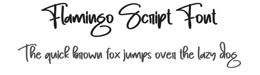 Flamingo Script Font by creativeletter — Script Handwritten Font