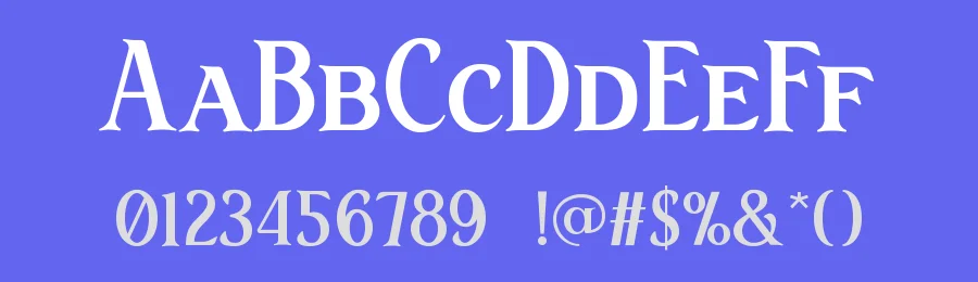Flavia Font by Rautan Studio — Display Font — thumbnail 3