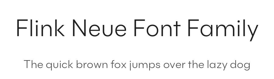 Flink Neue Font Family by Identity Letters — Decorative Font