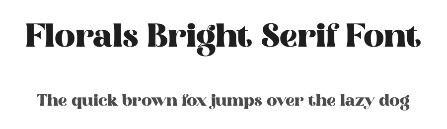 Florals Bright Serif Font by Storytype — Serif Font