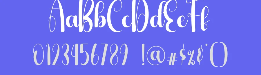 Florida Script Font by andikastudio — Script Handwritten Font — thumbnail 3
