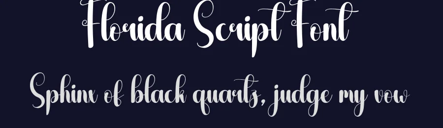 Florida Script Font by andikastudio — Script Handwritten Font — thumbnail 2
