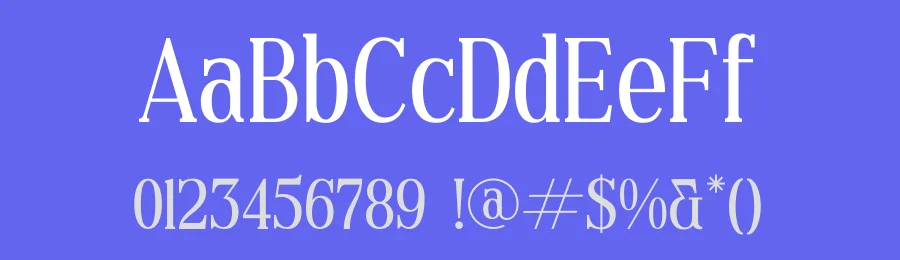 Flurries Font by BRAINWAVES STUDIO — Serif Font — thumbnail 3