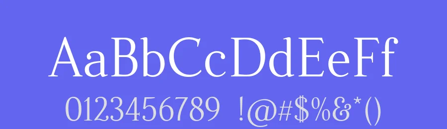 Fnord Font Family by Paulo Goode — Serif Font — thumbnail 3