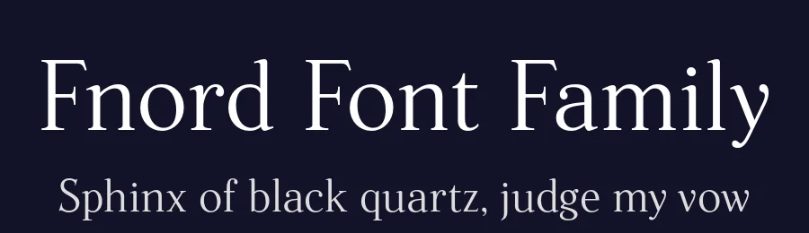 Fnord Font Family by Paulo Goode — Serif Font — thumbnail 2
