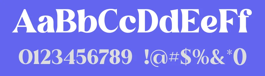 Fogsta Stylish Serif Font by Storytype — Serif Font — thumbnail 3