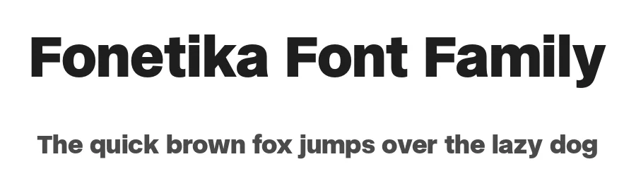 Fonetika Font Family by Tokotype — Decorative Font