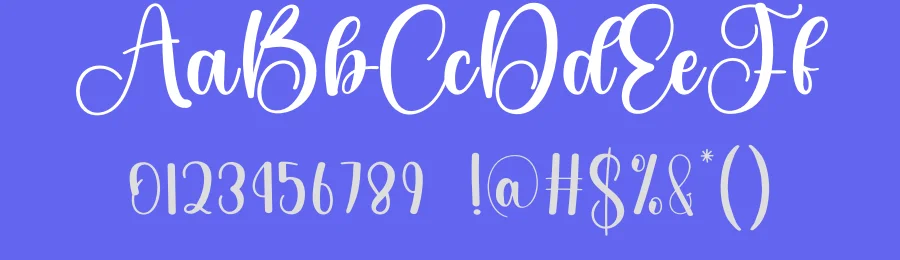 Football Calligraphy Script Font by creativeletter — Script Handwritten Font — thumbnail 3