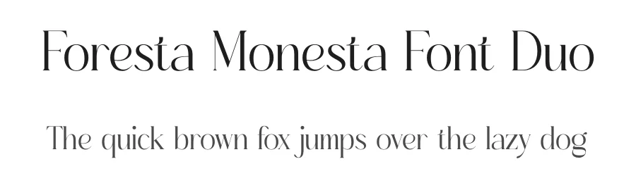 Foresta Monesta Font Duo by Storytype — Script Handwritten Font