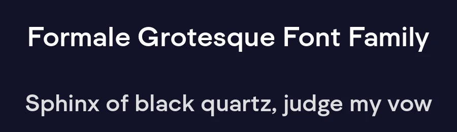 Formale Grotesque Font Family by Michael Mischler and Nik Thoenen — Sans Serif Font — thumbnail 2