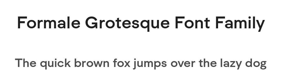 Formale Grotesque Font Family by Michael Mischler and Nik Thoenen — Sans Serif Font