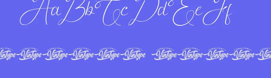 Fortification Calligraphy Font by VinType — Script Handwritten Font — thumbnail 3