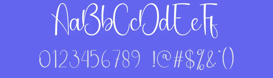 Fourteen Script Font by creativeletter — Script Handwritten Font — thumbnail 3