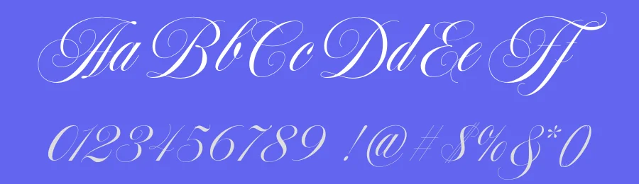 Francy Tiguan Font by Jolicia Type — Script Handwritten Font — thumbnail 3