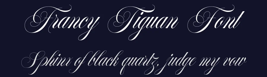 Francy Tiguan Font by Jolicia Type — Script Handwritten Font — thumbnail 2