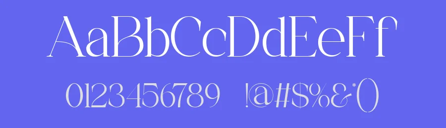 Franiva || Modern Elegant Serif Font by ErmediaStudio — Display Font — thumbnail 3