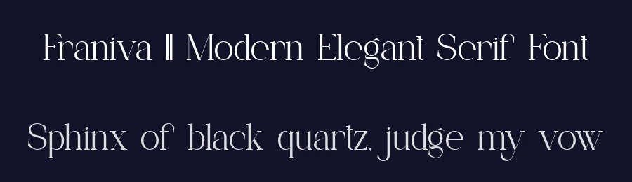 Franiva || Modern Elegant Serif Font by ErmediaStudio — Display Font — thumbnail 2