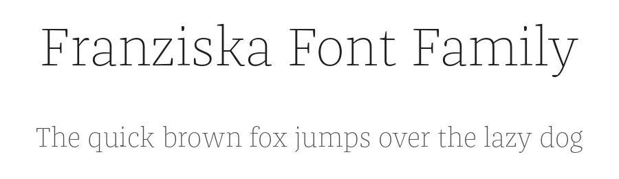 Franziska Font Family by Jakob Runge — Serif Font