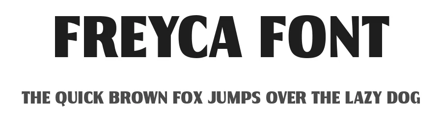 Freyca Font by Drizy — Sans Serif Font