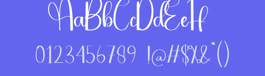 Fried Butter Script Font by andikastudio — Script Handwritten Font — thumbnail 3