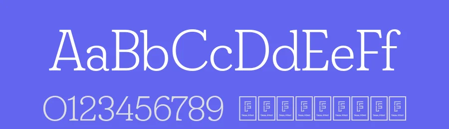 FS Split Serif Font Family by Fontsmith — Serif Font — thumbnail 3