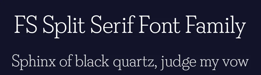 FS Split Serif Font Family by Fontsmith — Serif Font — thumbnail 2