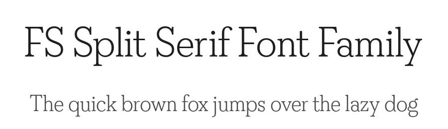 FS Split Serif Font Family by Fontsmith — Serif Font