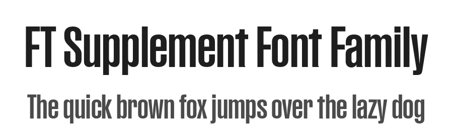 FT Supplement Font Family by Formula Type — Sans Serif Font