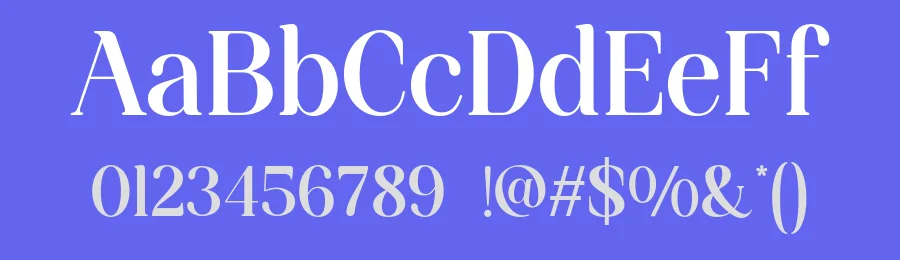 Funky Vintage Font by roomspace.cl — Serif Font — thumbnail 3