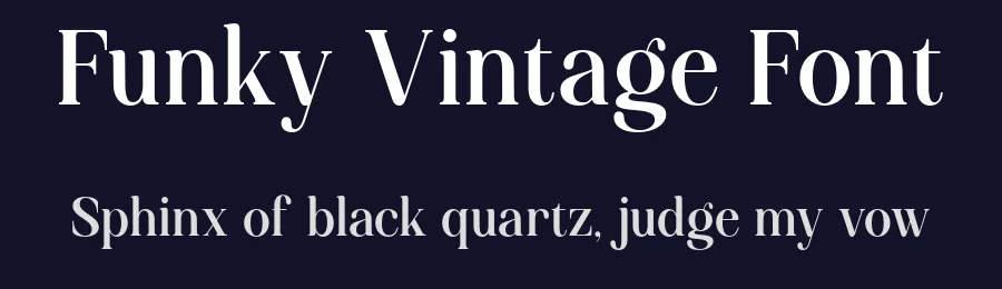 Funky Vintage Font by roomspace.cl — Serif Font — thumbnail 2