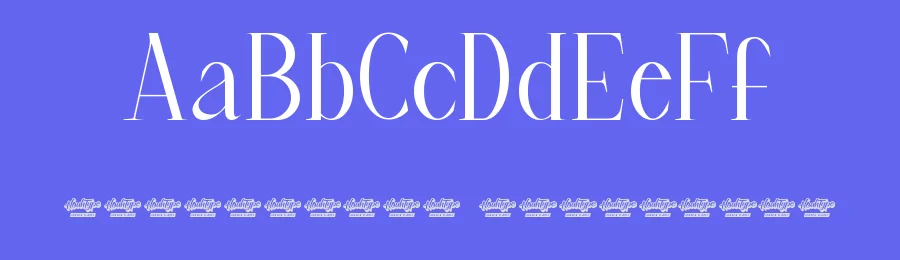 Fushia Analise Font by noahtype — Display Font — thumbnail 3
