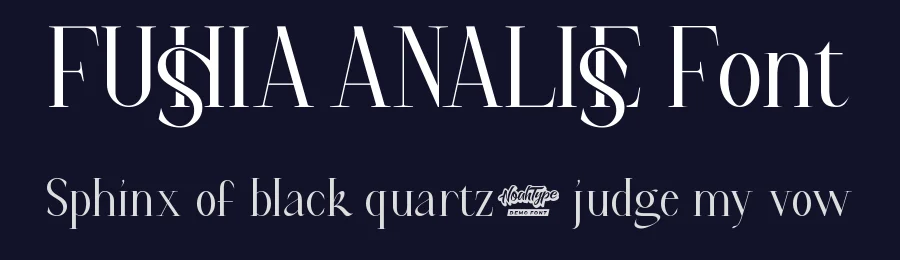 Fushia Analise Font by noahtype — Display Font — thumbnail 2