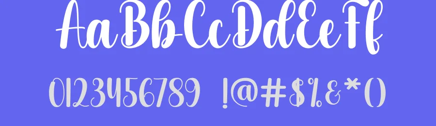 Galery Script Font by DN Creative — Script Handwritten Font — thumbnail 3