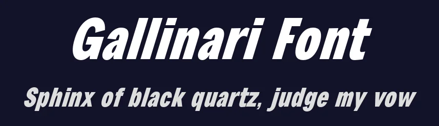 Gallinari Font by Jehoo Creative — Sans Serif Font — thumbnail 2