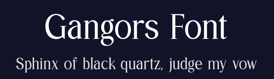 Gangors Font by Amorfa Type — Serif Font — thumbnail 2