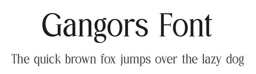 Gangors Font by Amorfa Type — Serif Font