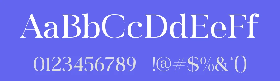 Garfist Font by Storytype — Serif Font — thumbnail 3