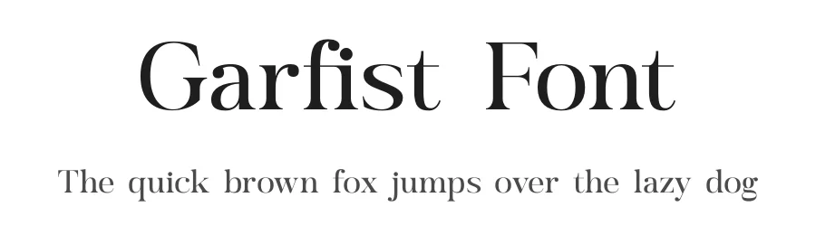 Garfist Font by Storytype — Serif Font