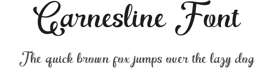 Garnesline Font by Flawless And Co — Script Handwritten Font